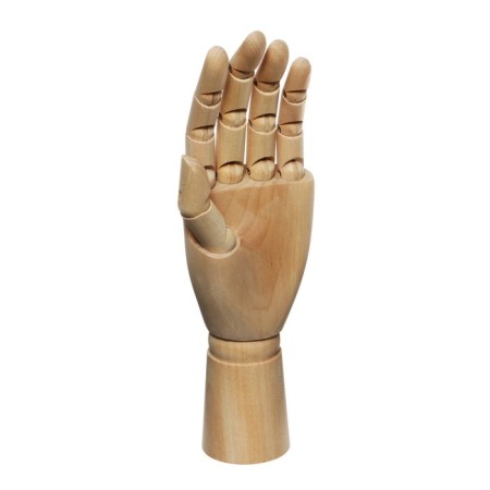 Wooden model "Hand", 25cm, female, left-1