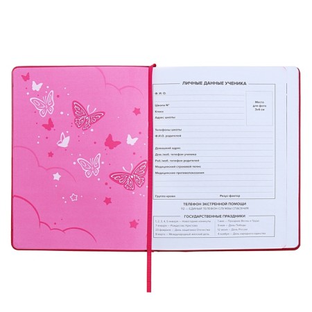 Universal Grade 1-11 Diary, 48 sheets "Magic butterflies", solid artificial leather cover, pancake embossing, rhinestones, liesse-6