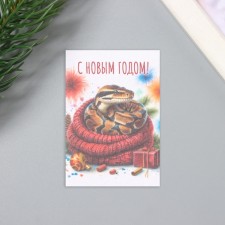 A postcard with the seeds 