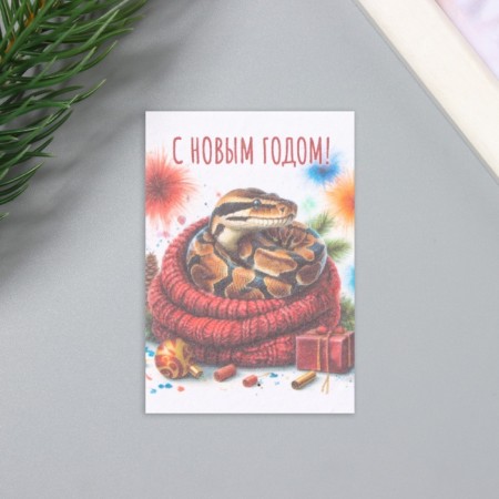 A postcard with the seeds "grow itself" "Happy New Year!" Snake 5*7cm