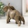 Polystone souvenir "Elephant with an elephant on a walk" 17x10x13.7 cm