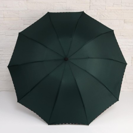Mechanical umbrella "Alister", 4 additions, 10 spokes, r = 52 cm, color mix-5