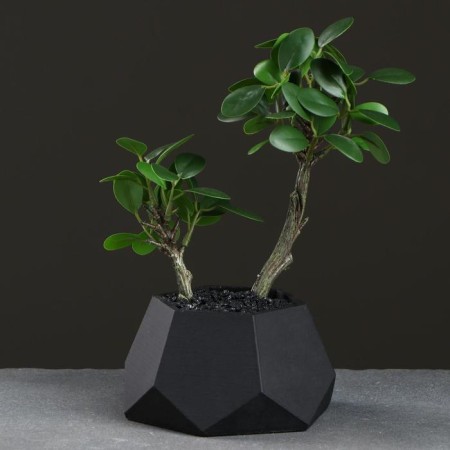 Kashpo hexagon 13 x 7.5 cm black