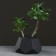 Kashpo hexagon 13 x 7.5 cm black