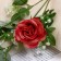 Artificial flowers "Amuria rose" 7x62 cm, peach-red