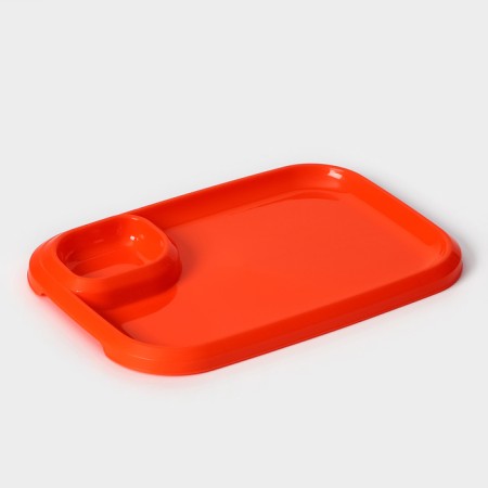 A barbecue dish with a saucer 30.3 × 21 × 2.5 cm, color orange color