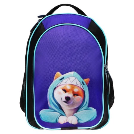 School backpack, 37 x 27 x 16 cm, ergonomic back, calligrata b "Siba"-6