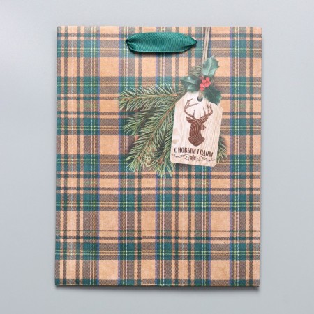 Craft vertical package "For Man", MS 18 x 23 x 10 cm, New Year-5