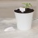 Garden signs for marking, 7 cm, set 20 pcs., Plastic, white, Greengo