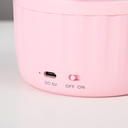 Table lamp "Mini Beetle" LED 3 modes 6.4W USB pink 10x10x37.5 cm Risalux-11