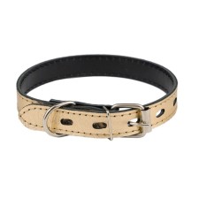 Collar leather two-layer, width 2 cm, Osh 23-33 cm, gold