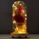 Nightlight "Rosa flask in the bouquet" LED 3AA MIX 23x11x11 cm Risalux