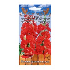 Flower seeds lion Zev Gladiolus terry 