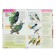 The best determinant. Birds of Russia