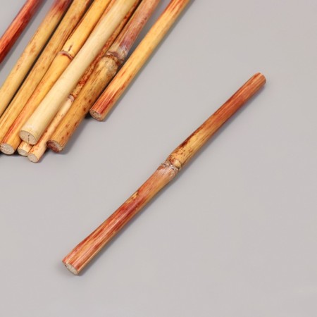 Bamboo stalks are decorative, 10 pcs, length 20 cm-1
