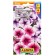 Petunia seeds Cherry Crystal F1 multi -flowered, mixture of colors, 10 pcs