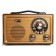 Radio receiver portable signal BZRP RP-335 Brown WSB Microsd