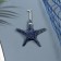 Interior souvenir "Marine Star" 16cm