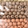 Set of beads for creativity "Kapuchino" D-0.8 cm, 4 colors x 15 g