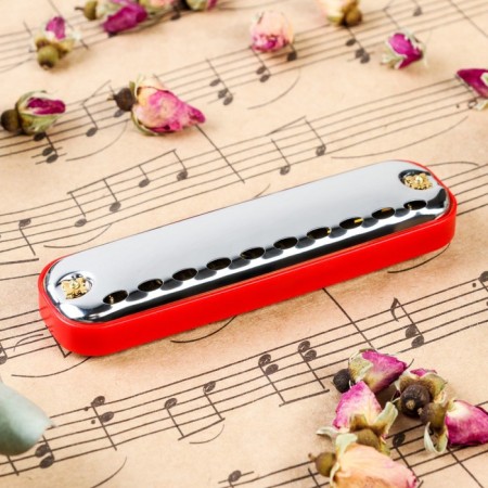Music Life T10-1 Clinkle C Red COMB diatonic, 10 holes, with a case, red-2