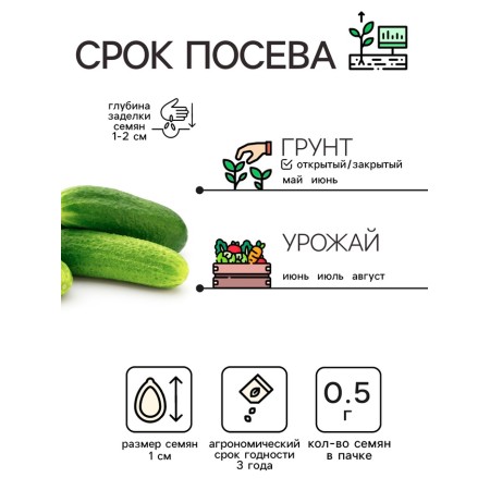 Семена Огурец "Хрустик", 0,5 г-1