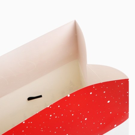 The package of the “Funny New Year”, 28 x 20 x 13 cm, New Year-3