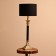Lamp desktop "Steel" 1x60W, E27 golden-black 31x31x66 cm