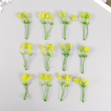 Artificial plant for creativity 