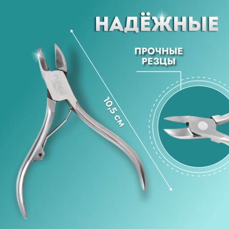Pigitan nippers, 10.5 cm, blade length - 14 mm, silver color, RU -0145-1