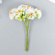 Flowers for decorating 