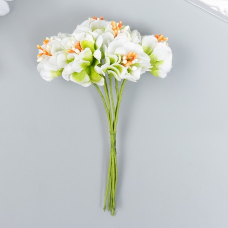 Flowers for decorating "Pion Lololipop" 1 bouquet = 6 colors white-green 9 cm