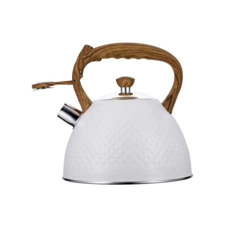 Teapot Regent Inox Tea, with a whistle, 2.8 l + a titt gift for brewing tea-2