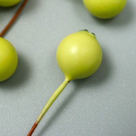 Decor for creativity "Berry" Green 7x1 cm-1