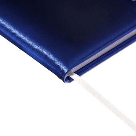 Universal diary for grades 1-11, hard cover, artificial leather, foam rubber, silkography, lies, 80 g/m2-2