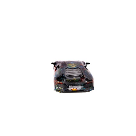 Machine on the radio control KOO "POG", scale 1:24-8