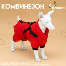 Kombinson for dogs with a slope 