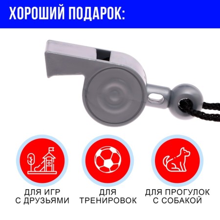 Popular whistle "district"-3