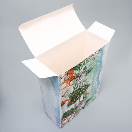 Folding box “Fairytale Gift!”, 22 x 30 x 10 cm, New Year-2