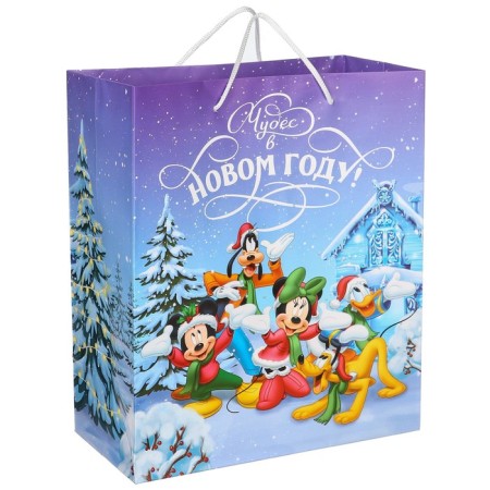 New Year. Gift package, 23x27x11.5 cm, packaging, Mickey Mouse-2