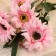 Artificial flowers "Garde Garden" 6x50 cm, pink