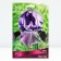 Iris Bearded Knight aul, rr I, 1 pc, spring 2025