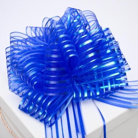 Bant-Shar No. 10 "stripes", blue color-4