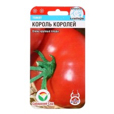 Seed Tomat 