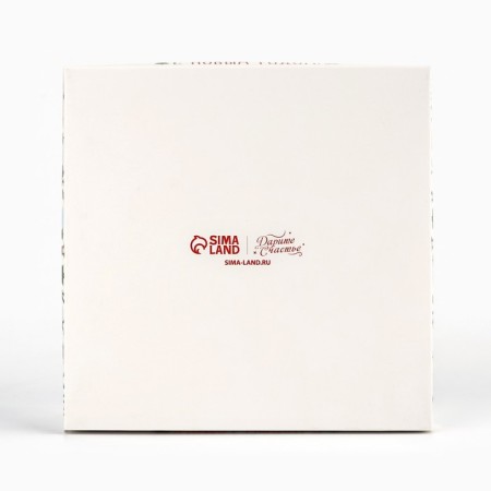 Box for Musser cakes “Happy New Year”, 17.8 x 17.8 x 6.5 cm, New Year-4