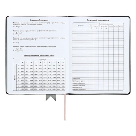 Universal diary for grades 1-11 Lenta, solid cover of artificial leather, applique, silkography, liesse, 48 sheets, black-13