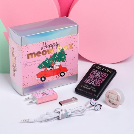 Charger, popcet, headphones, flash drive and plug “Happy Meow Box”, set-1