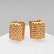 Earrings Metal 