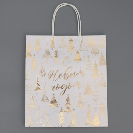 Package gift craft "New Year's time", 22 x 25 x 12 cm, new year-7