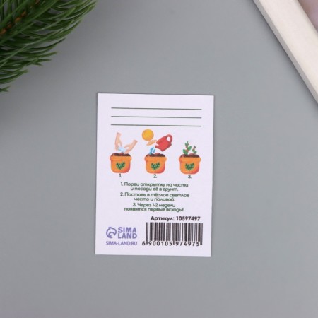 Postcard with seeds "grow itself" "snake" 5*7cm-2