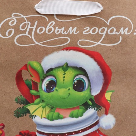 Package Crafts Vertical Dragon, Ml 23 x 27 x 11.5 cm, New Year-4